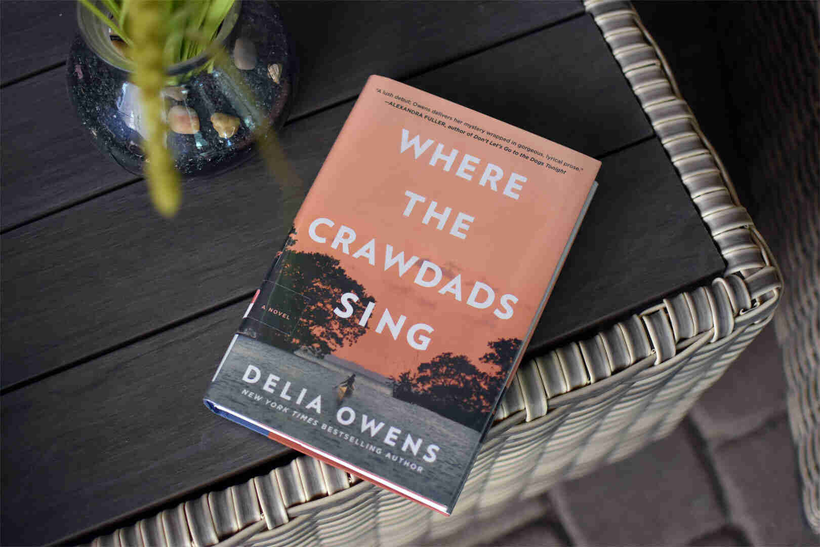PDF کتاب جایی که خرچنگ ها آواز می خوانند Where the Crawdads Sing