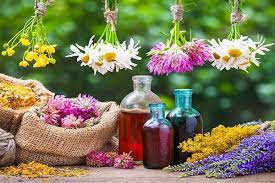 آموزش پرورش گیاهان دارویی، پرورش گیاهان دارویی، دانلود گیاهان دارویی، 