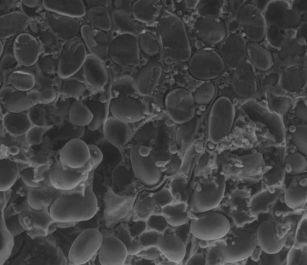 Determining Elemental Impurities in Pharmaceutical Products، استاندارد های جدید دارویی، کتاب تعیین ناخالصی های عنصری در محصولات دارویی، 