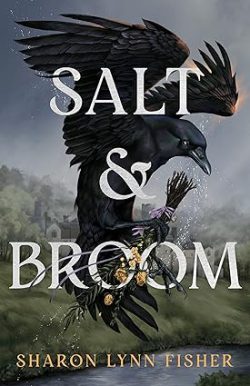 دانلود کیندل Salt & Broom از آمازون، کتاب Salt & Broom، کتاب نمک و جارو، کتاب های Sharon Lynn Fisher، 