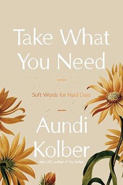 دانلود کتاب Take What You Need، کتاب Take What You Need، کتاب آنچه نیاز داری را بردار، کتاب های Aundi Kolber، کتاب های آندی کولبر، 