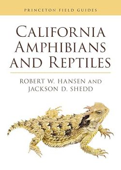 دانلود کتاب California Amphibians and Reptiles، دانلود کیندل California Amphibians and Reptiles، کتاب California Amphibians and Reptiles، کتاب دوزیستان و خزندگان کالیفرنیا، کتاب های Jackson D. Shedd، کتاب های Robert Hansen، 
