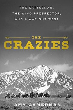دانلود کتاب The Crazies از آمازون، دانلود کتاب زبان اصلی دیوانه ها، دانلود کیندل The Crazies از آمازون، کتاب The Crazies، کتاب دیوانه ها، کتاب دیوانه ها نوشته امی گیمرمن، کتاب های Amy Gamerman، 