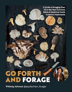 دانلود کتاب Go Forth and Forage، کتاب Go Forth and Forage، کتاب برو جلو و علوفه بگیر، کتاب های Whitney Johnson، کتاب های ویتنی جانسون، 